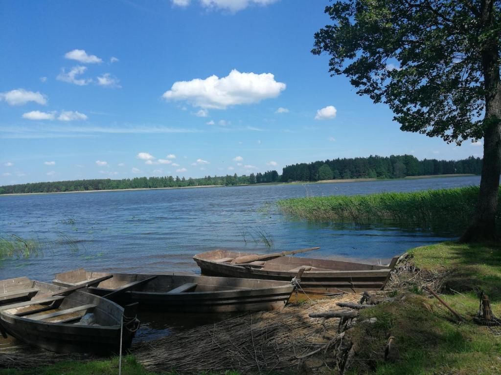 Кемпинги Lazdininku poilsiaviete (Camping) Darbėnai